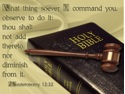 holy bible 02