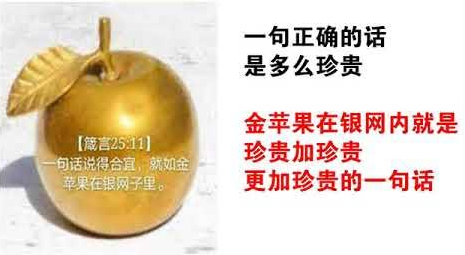金苹果在银网子里