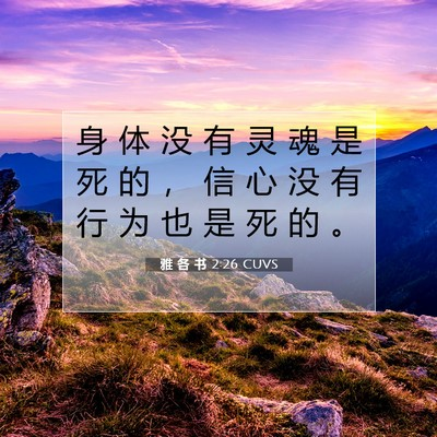 信心与行为