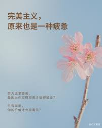 不要寻求完美