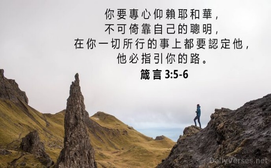 别倚靠自己的聪明