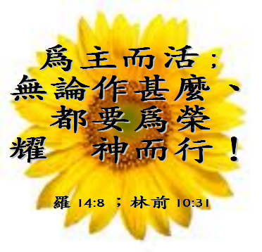 要为荣耀神而行