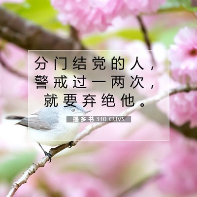 分门结党的人