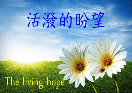 基督徒的盼望