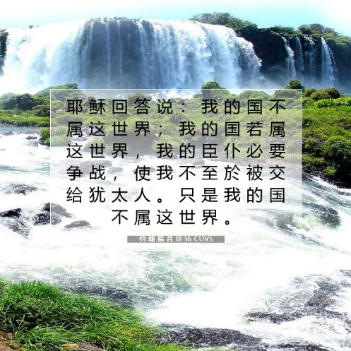 我的国不属这世界