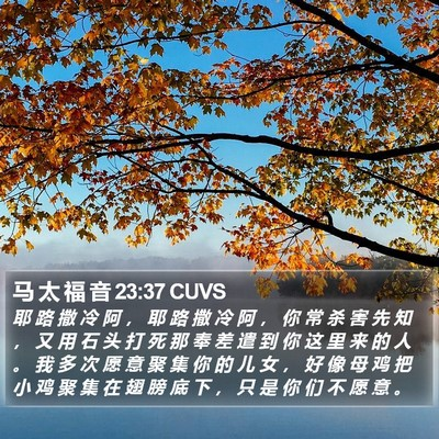 要把握机会