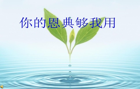 恩典下的生命
