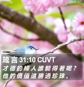 才德贤惠的妻子