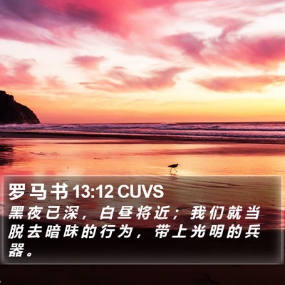主必快来！