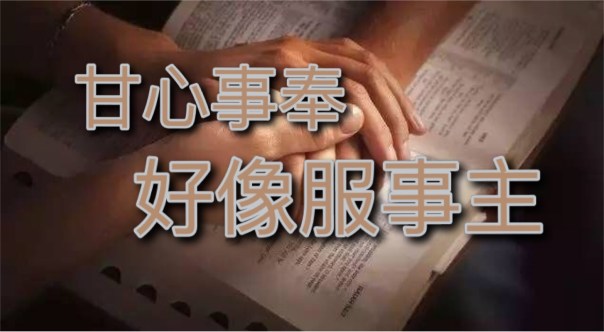 善用每周主日