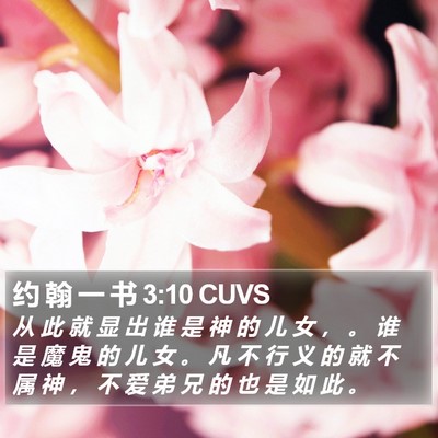 神儿女的特征
