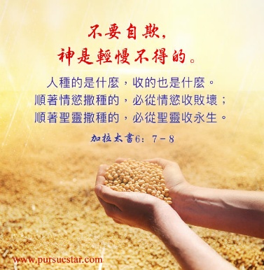 撒种与收成