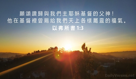 得着的比失去的更多
