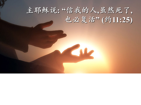 睡了的人