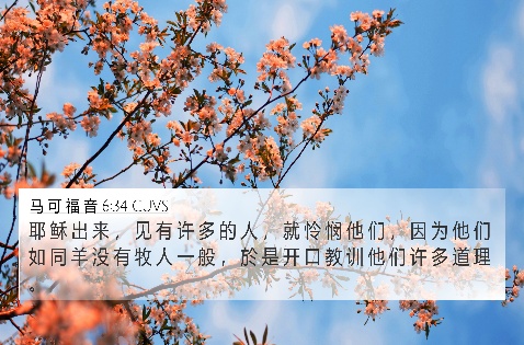 伪装的干扰