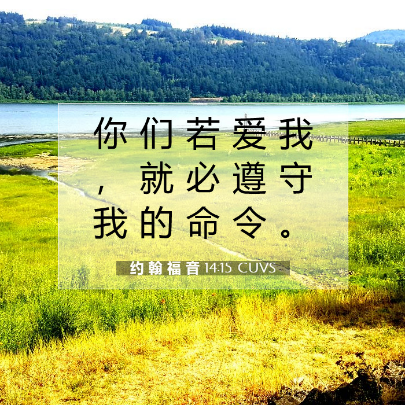 遵守主的命令