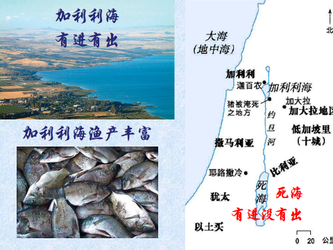 要听道还要行道