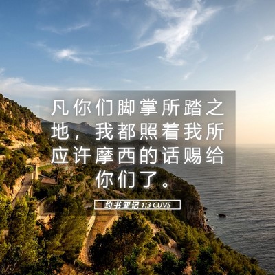 脚掌所踏之地