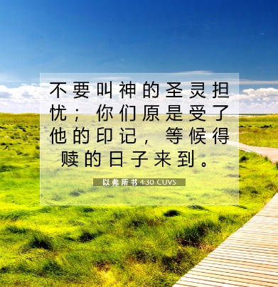 不要叫圣灵担忧