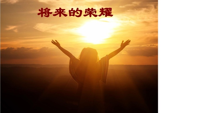 将来的荣耀